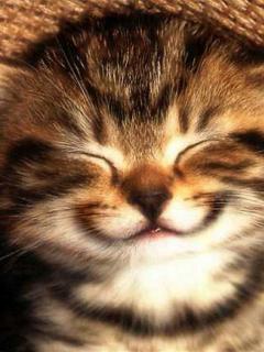 Other Wallpapers 0544